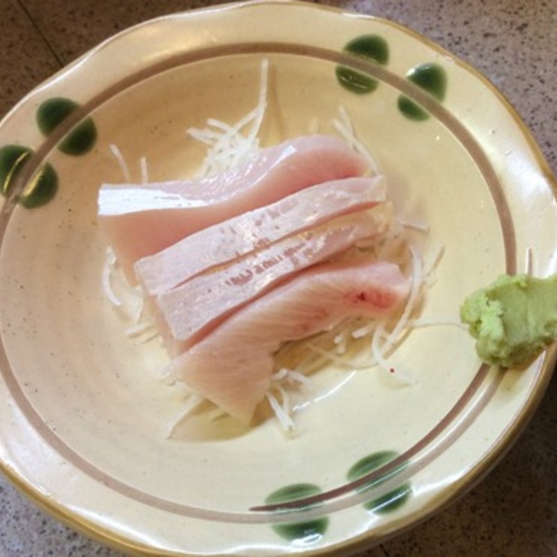 鰤トロお造り(毎日)