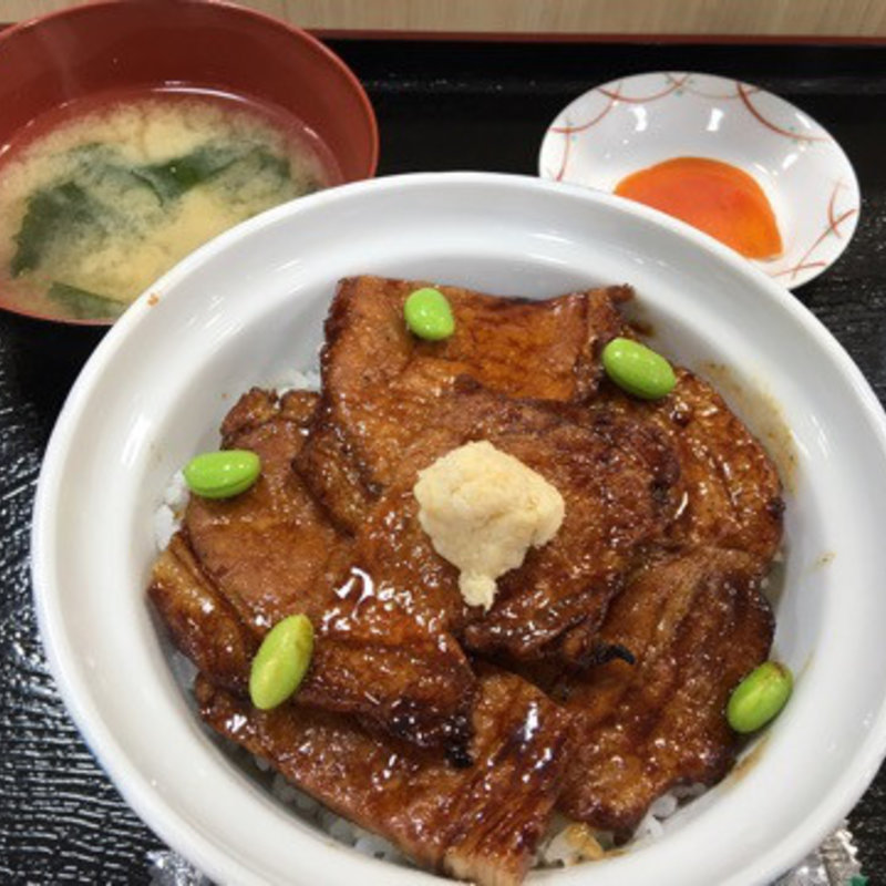 豚丼(豚丼の はなとかち)