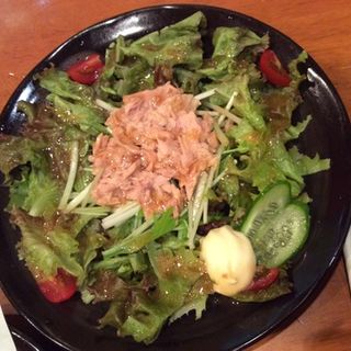 レタスと水菜のツナサラダ(旨食酒家二代目かっちゃん 京橋本店)