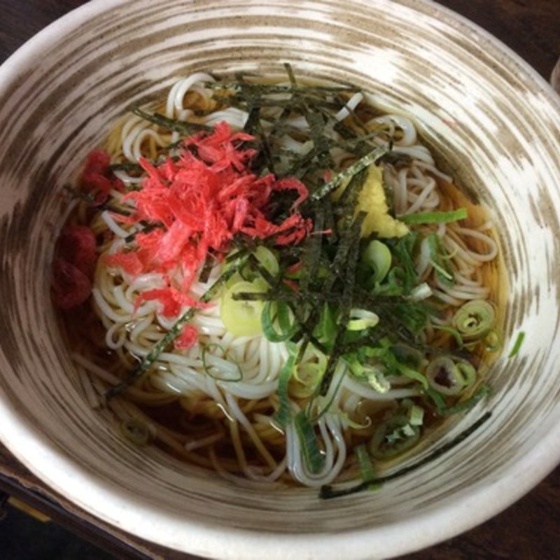 冷やしそうめん(花の山 )