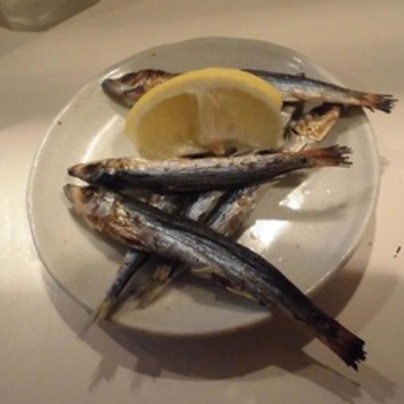 めざし(赫連勃勃 （カクレンボツボツ）)