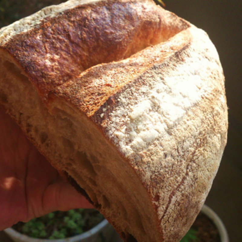 カンパーニュ（ハーフ）(たま木亭)