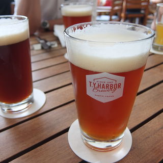 IPA(T.Y.HARBOR)