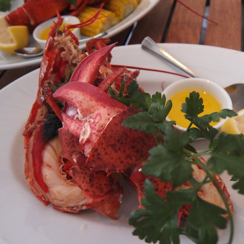 ロブスターのグリル(T.Y.HARBOR)