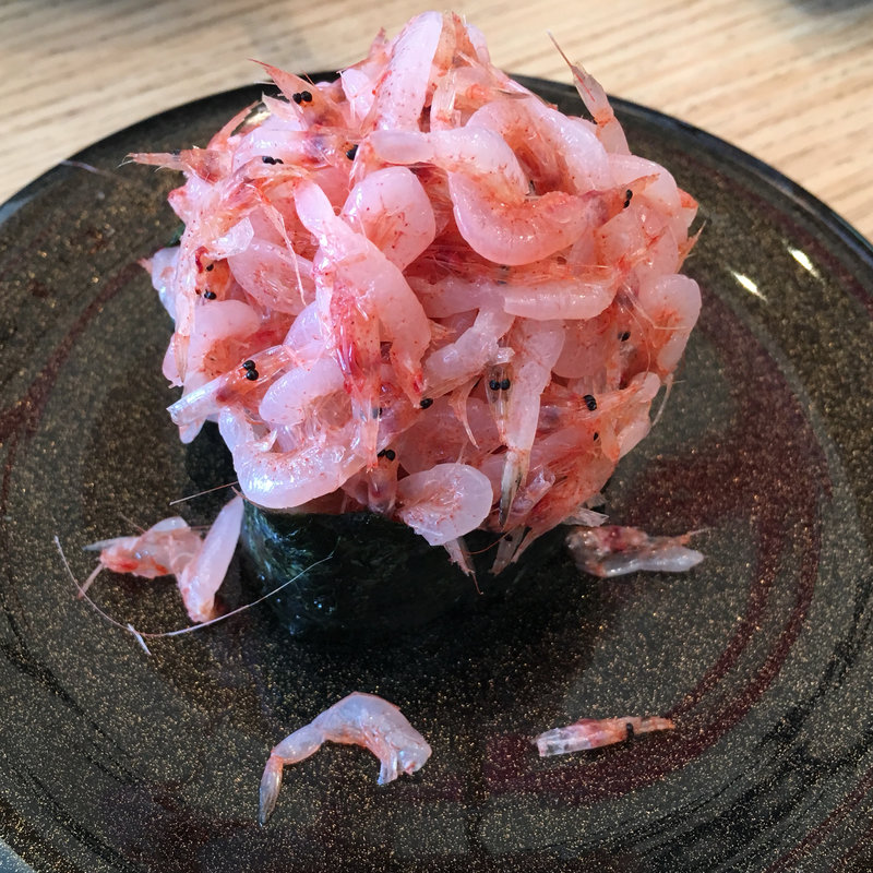 生サクラエビ(活けいけ丸 )