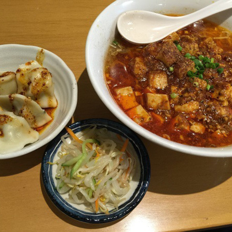 汁ありマーボー麺