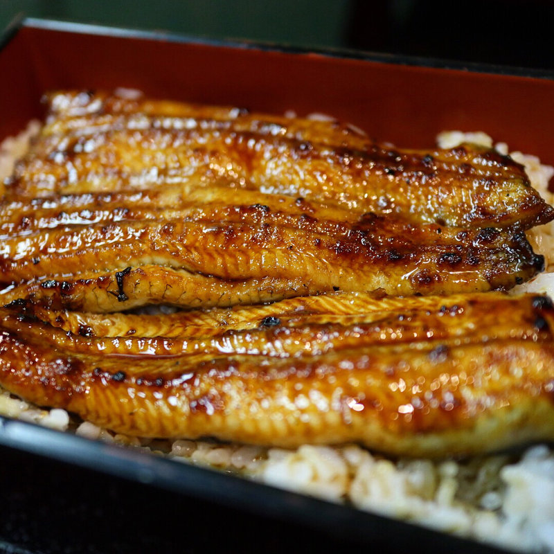 うな重(鰻のひろ田 （ひろた）)
