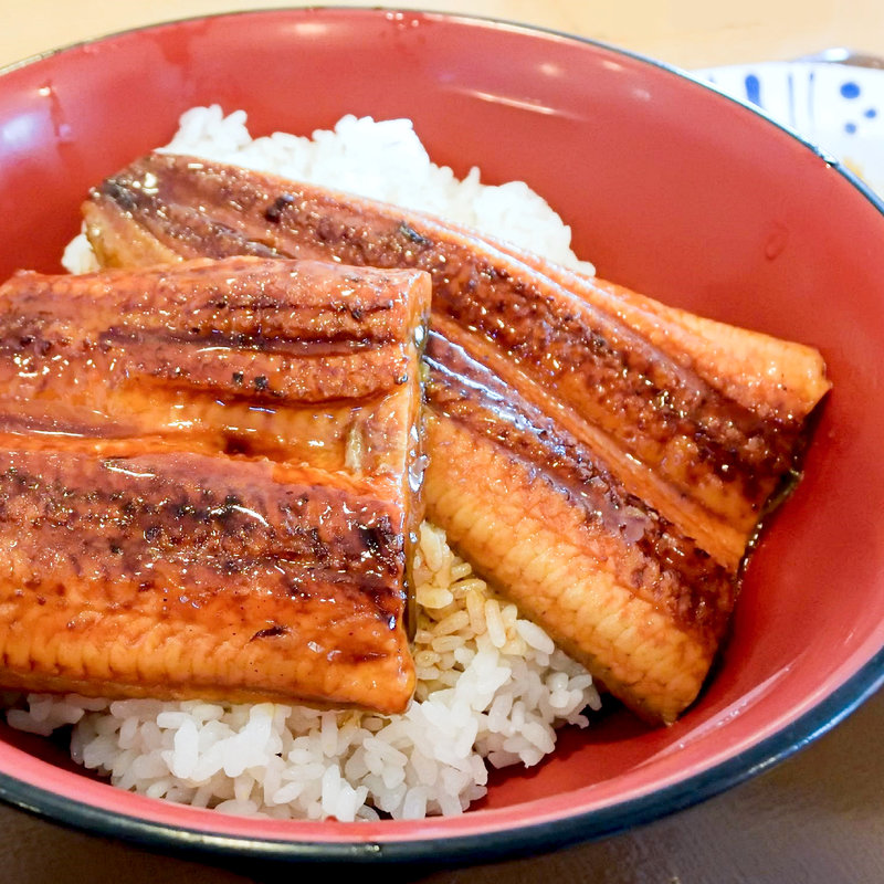 特うな丼(すき家 11号高松春日店 )