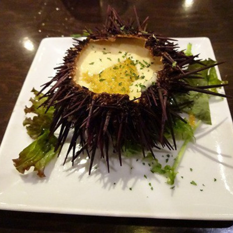 自家製生うにプリン (魚と酒 はなたれ 横浜東口店 （【旧店名】海を愛する はなたれ小僧 横浜東口店）)