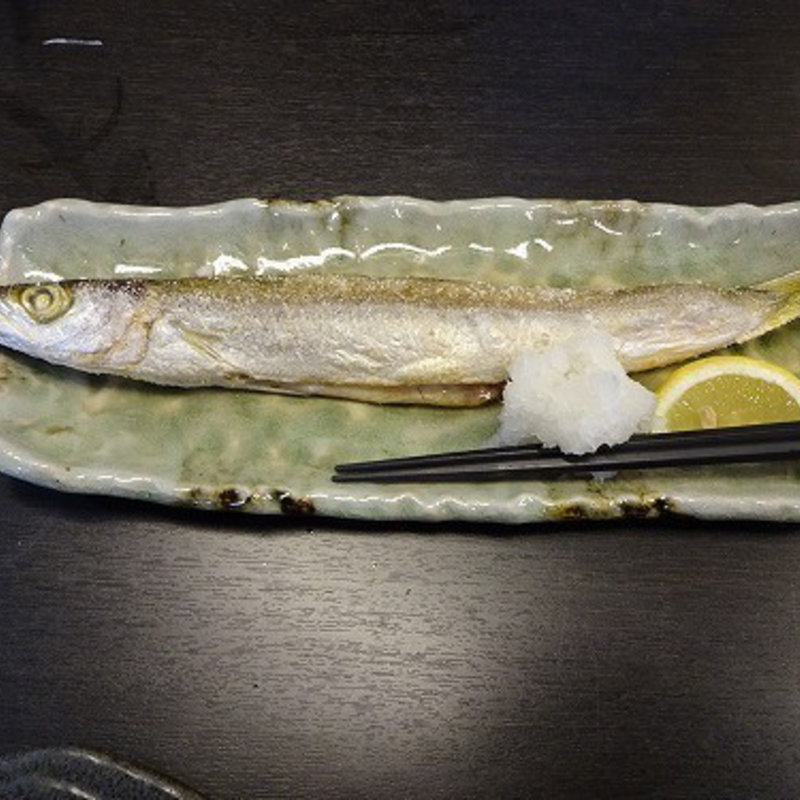 カマス・焼き物(マルウショウテン イエロー （まるう商店 yellow）)