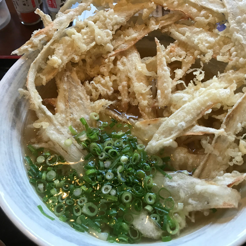 ごぼう天うどん(練り込みうどん権)