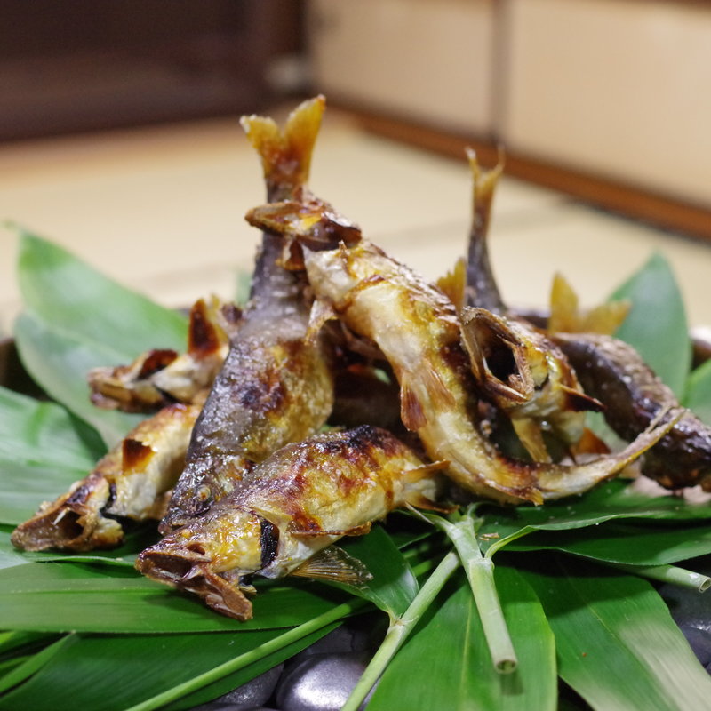 ―日本有数の清流「高津川」を巡る美食旅―