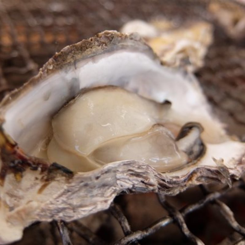 牡蠣の炭火焼き(カキハウス マルハチ)