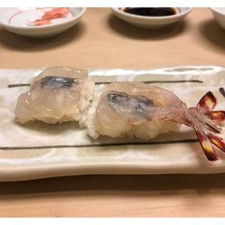 海老(すし富 龍)