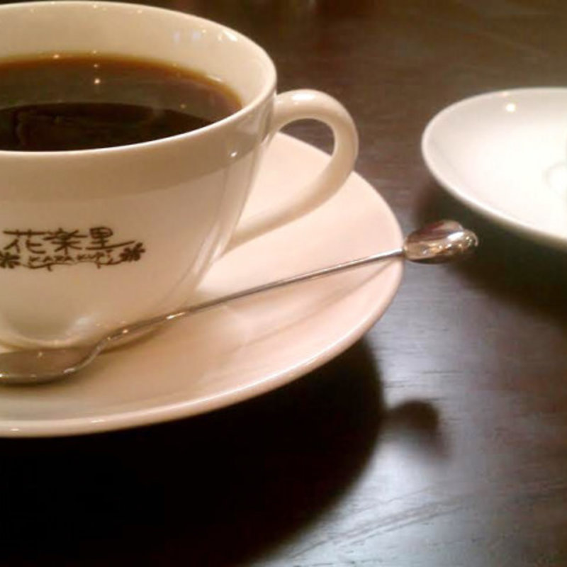 ブラジル セラード 手摘み完熟豆(花楽里)