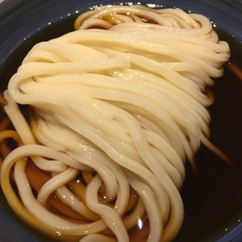 ぶっかけうどん(冷)　 中(手打うどん 長谷沼)