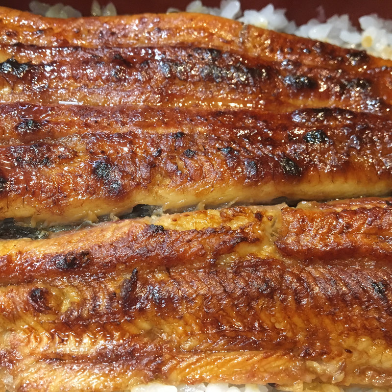 特製 うな重（松）(川越 いちのや （かわごえ いちのや）)