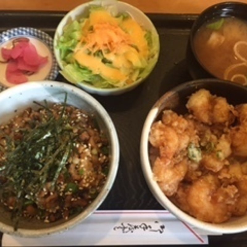 ミニ仲良し丼(菜の花亭)