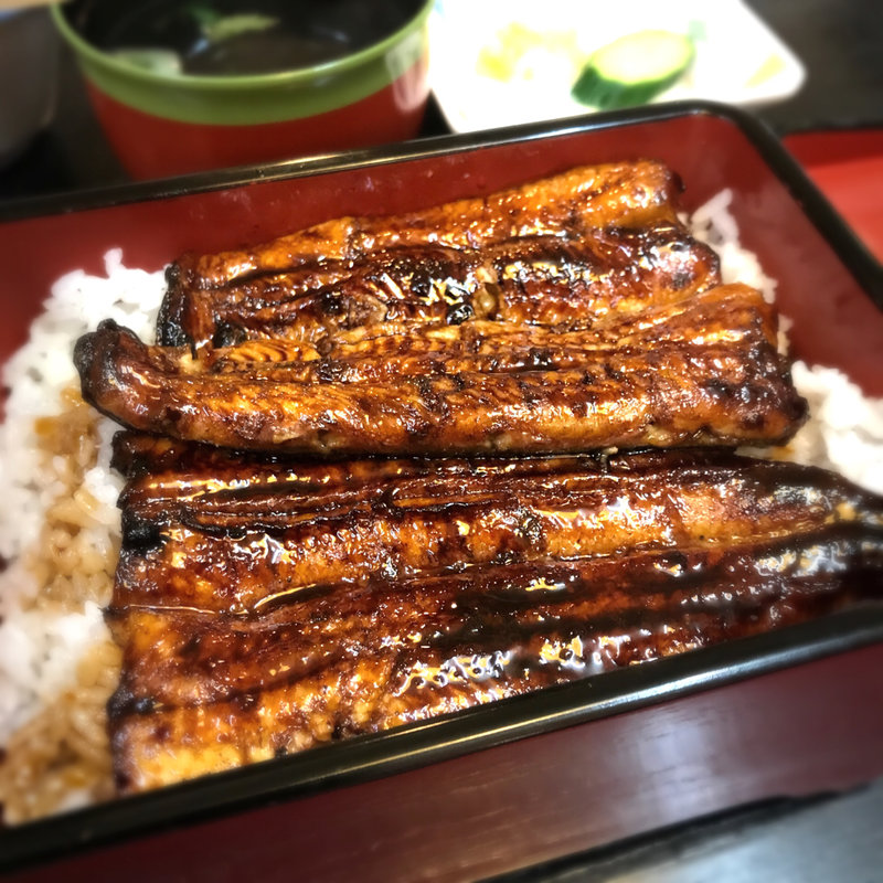 うな重(八百徳)