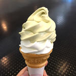 ピスタチオMIXソフトクリーム(神戸六甲牧場 神戸空港店)