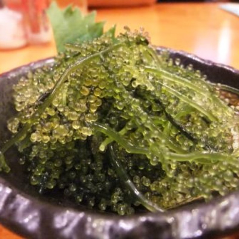 海ぶどう(立呑み 得一 布施店)