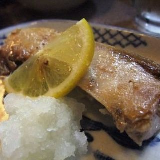 ブリ(毎日)