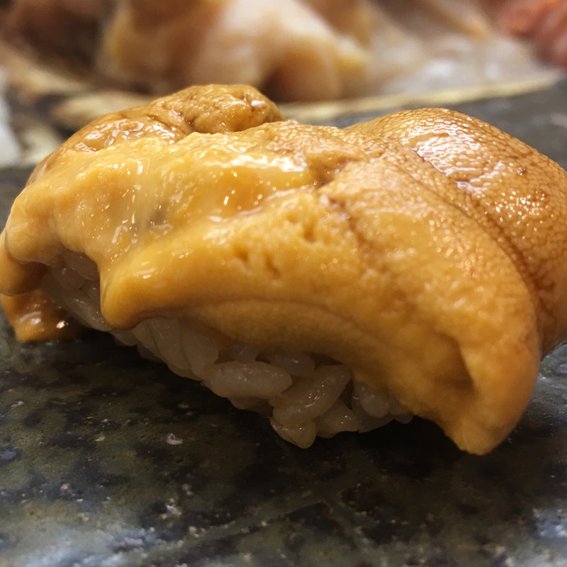 赤雲丹(鮨 一條)