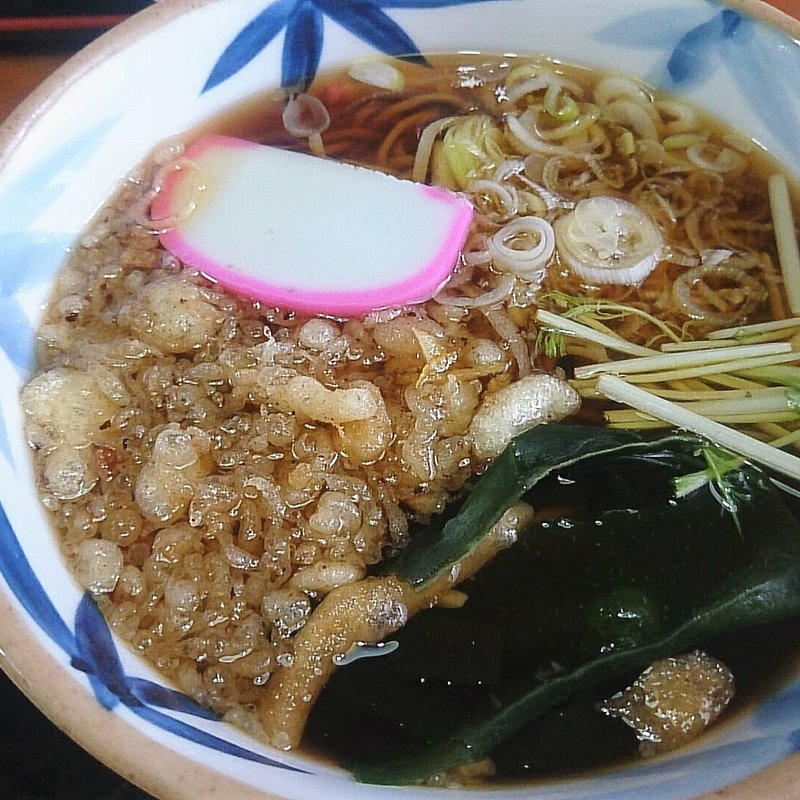 たぬきそば 温(手もみそばいけもり )