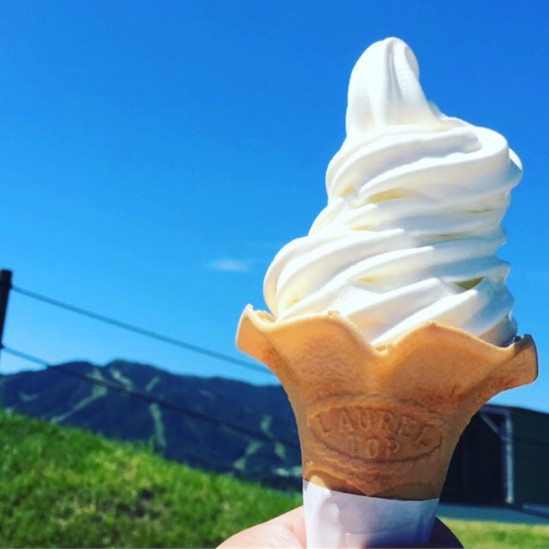 ひるがの高原ソフトクリーム(ひるがの高原サービスエリア )