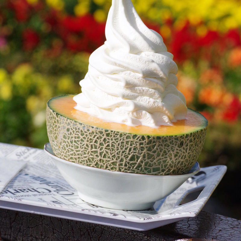 メロンソフト(ぜるぶの丘)