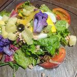 十種の野菜ニース風サラダ