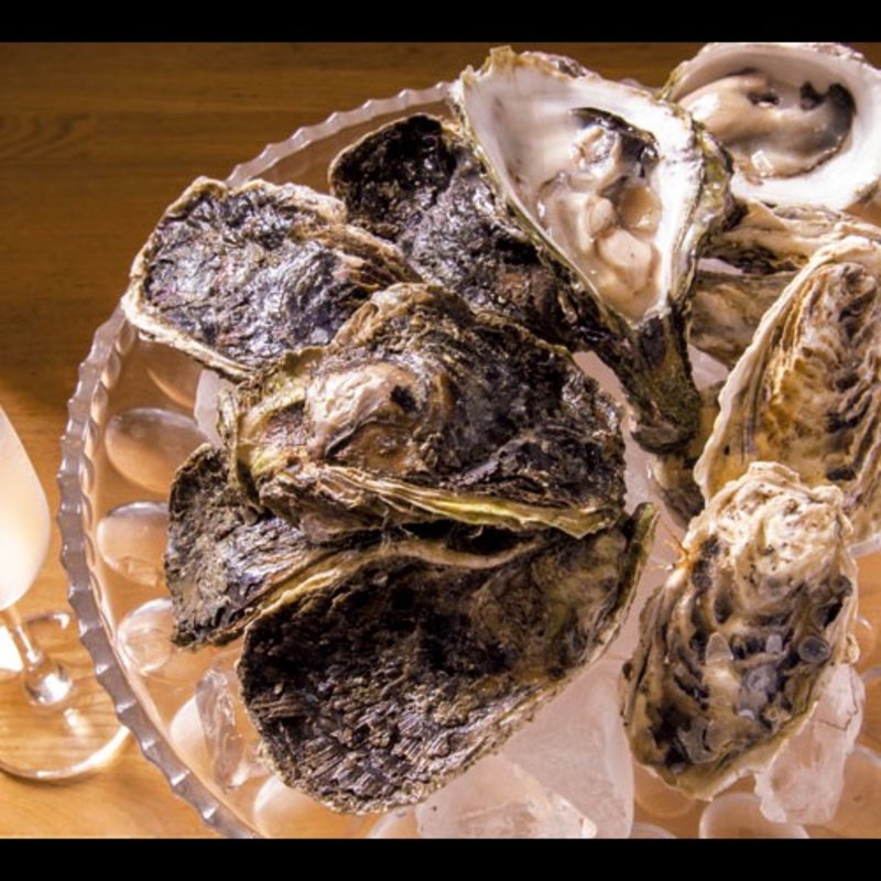 生牡蠣盛り合わせ8P(日本橋MITSU)