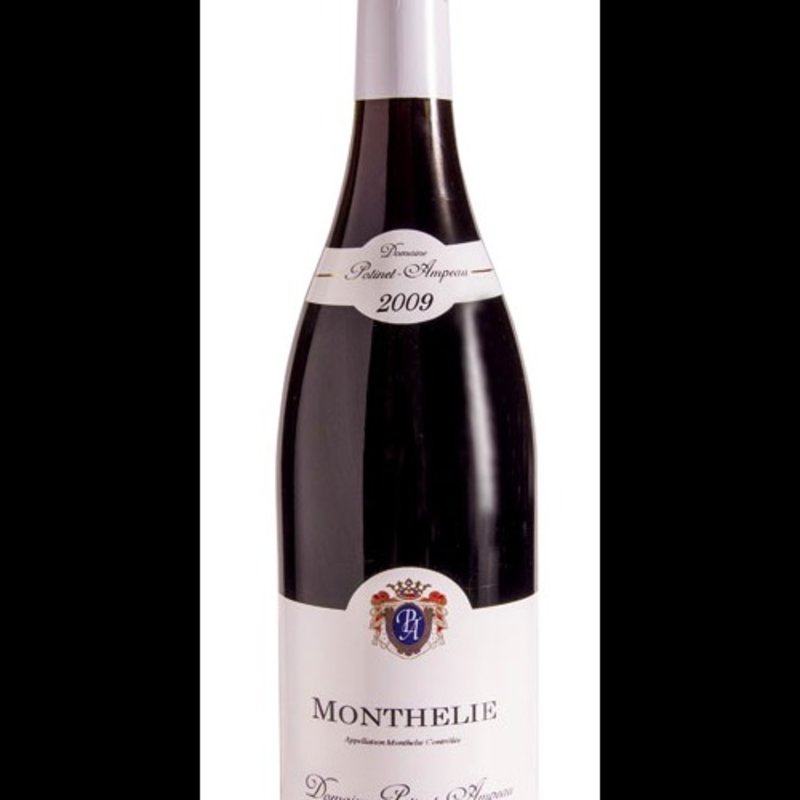 モンテリー / ドメーヌ・ポチネ・アンポー 2009（赤）(YAKITORI 葵)