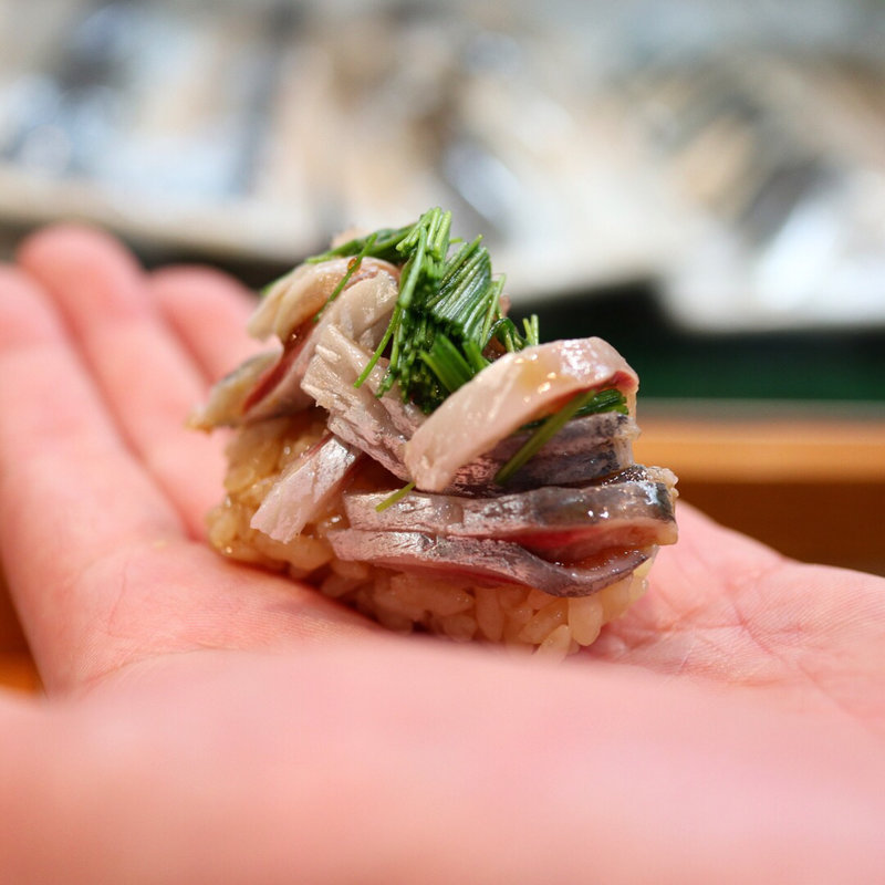 金太郎鰯(寿司栄 )