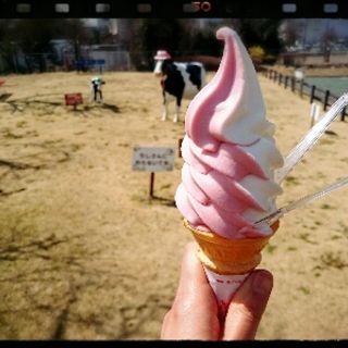 今週のソフトクリーム(ミックス とちおとめ)(ほっとミルク )