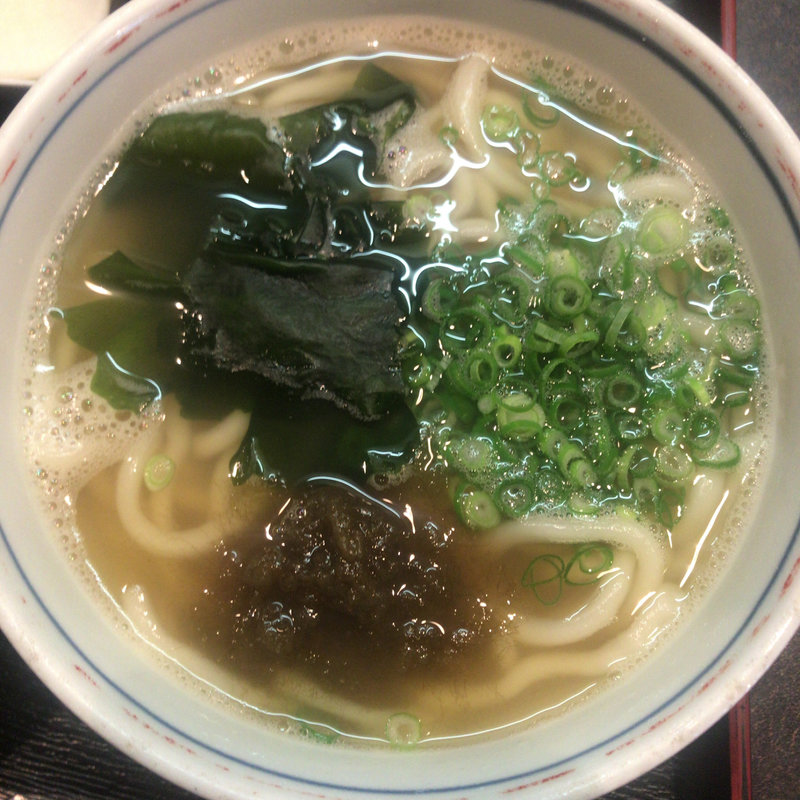わかめうどん(うどん つるや 本店)