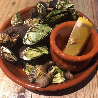 珍味！カメの手の塩茹で(炭焼きスペイン料理 アイレ)