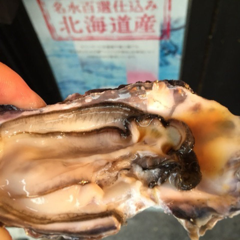 生牡蠣(5坪 gotsubo ススキノ店)