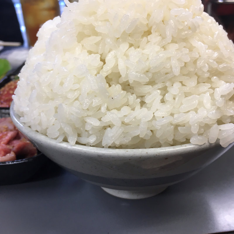 ライス大(ホルモンセンター 天狗家本店)
