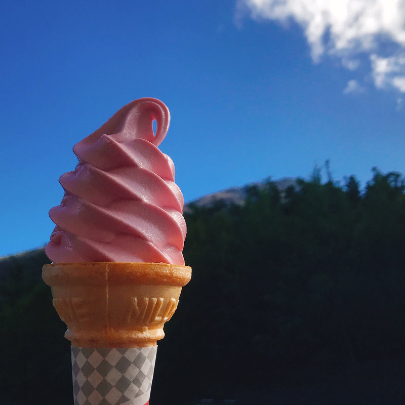 こけももソフト(こみたけ売店 )