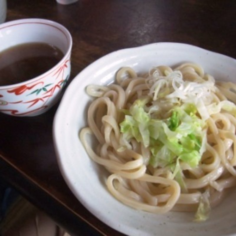 つけうどん(しんたく )