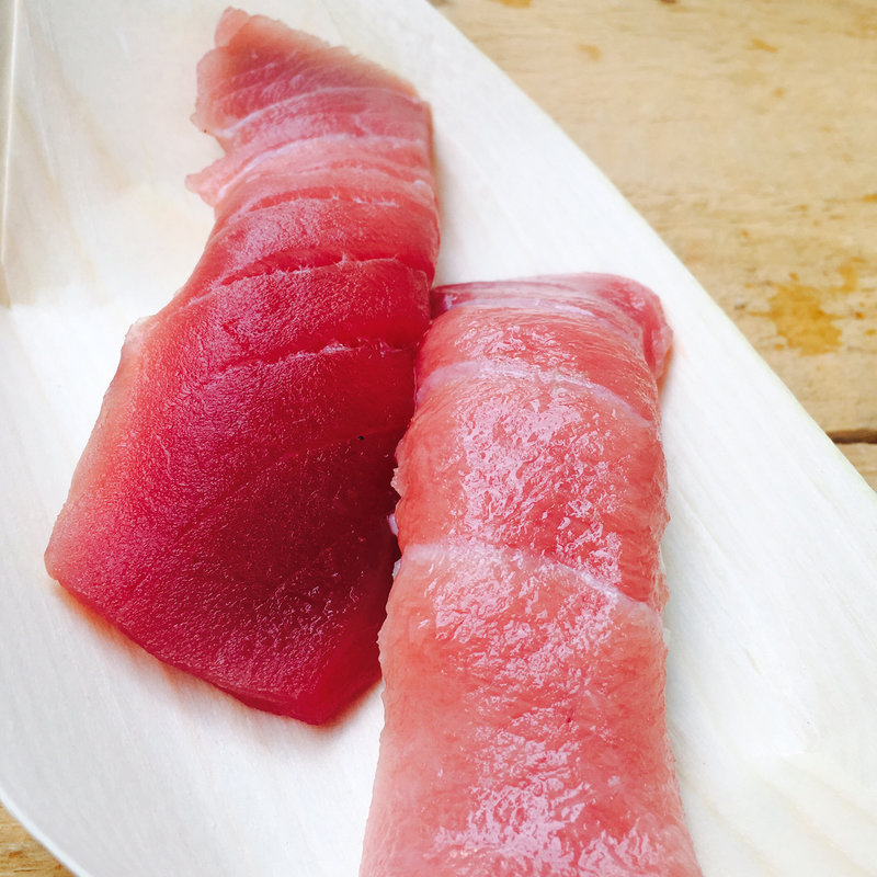 マグロ(まぐろのみやこ)