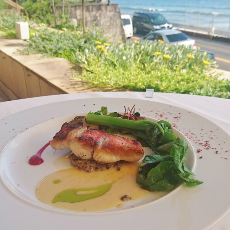 近海鮮魚のサルターティ　静岡産マッシュルームのデュクセル　白バルサミコ酢とビーツのソース(ピッツァ アマルフィイ)