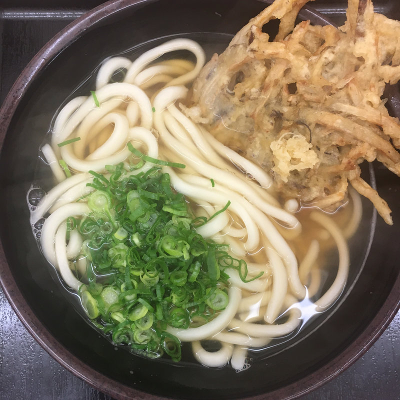 ごぼう天うどん(豊吉うどん 橘通店 （とよきちうどん）)