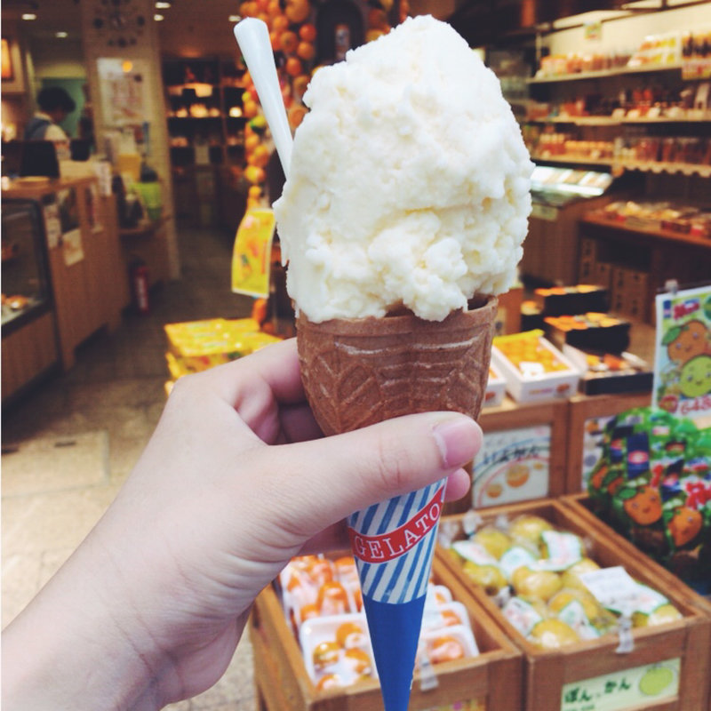 ジェラート(不知火)(みかんの木＆ドルチェ 道後坊ちゃん広場店 )