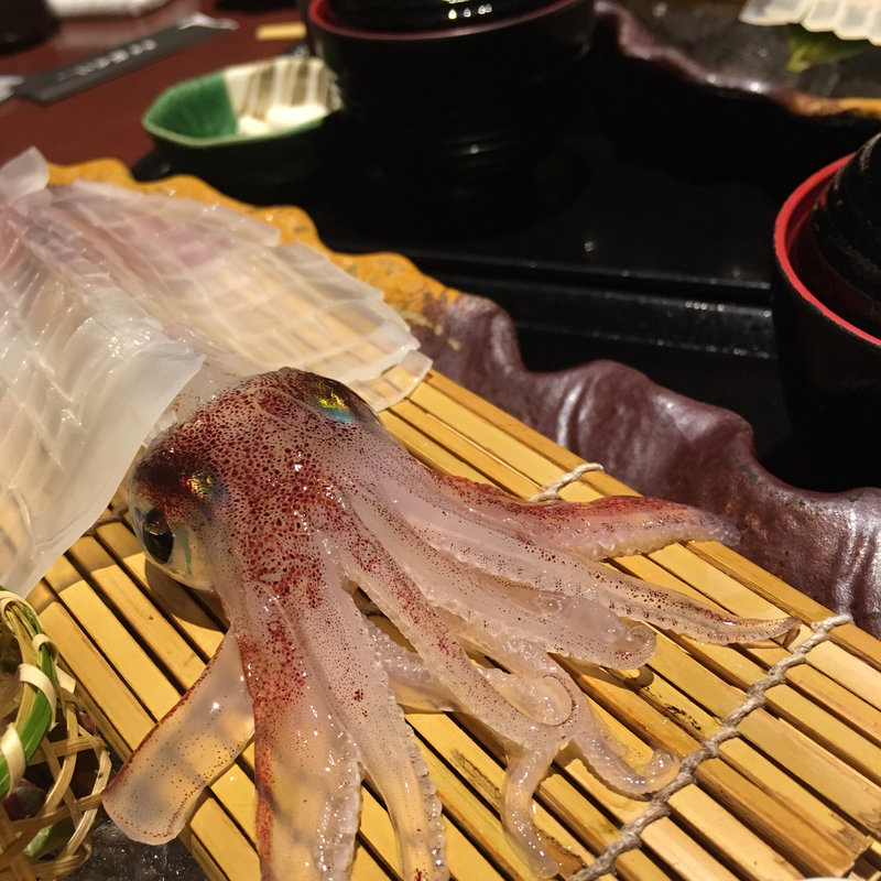 活きいか昼膳(いか鮮本家　【男命いか認定店】 )