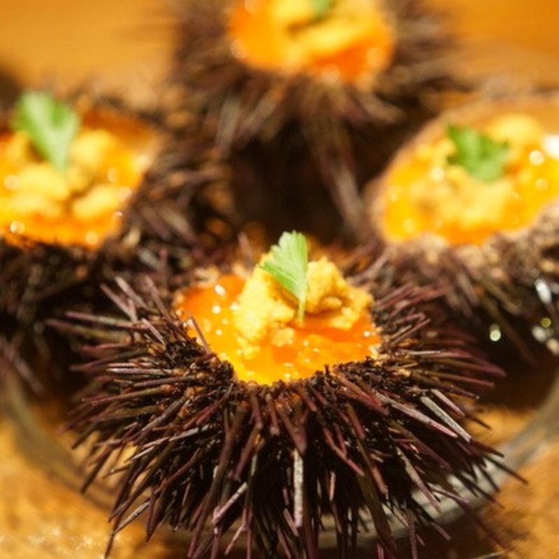 うにといくらのパンナコッタ(ペッシェ・パッパーレ・イタリア 恵比寿)