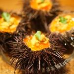 うにといくらのパンナコッタ(ペッシェ・パッパーレ・イタリア 恵比寿)