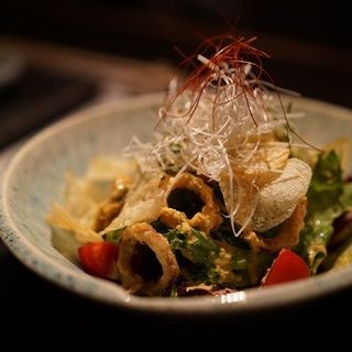 季節の野菜サラダ 自家製ポテトチップスと烏賊リング(美神鶏 )