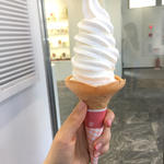 観光地鎌倉で絶品ソフトクリームを食べ歩く。